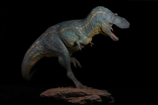 SHOWANNA 1/15 Scale Albertosaurus Model