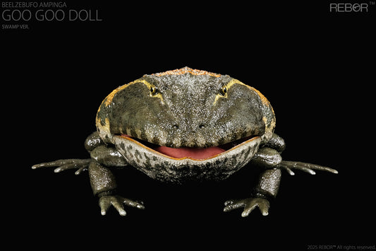 REBOR 1:2 scale poseable Beelzebufo ampinga “Goo Goo Doll” Swamp Ver.