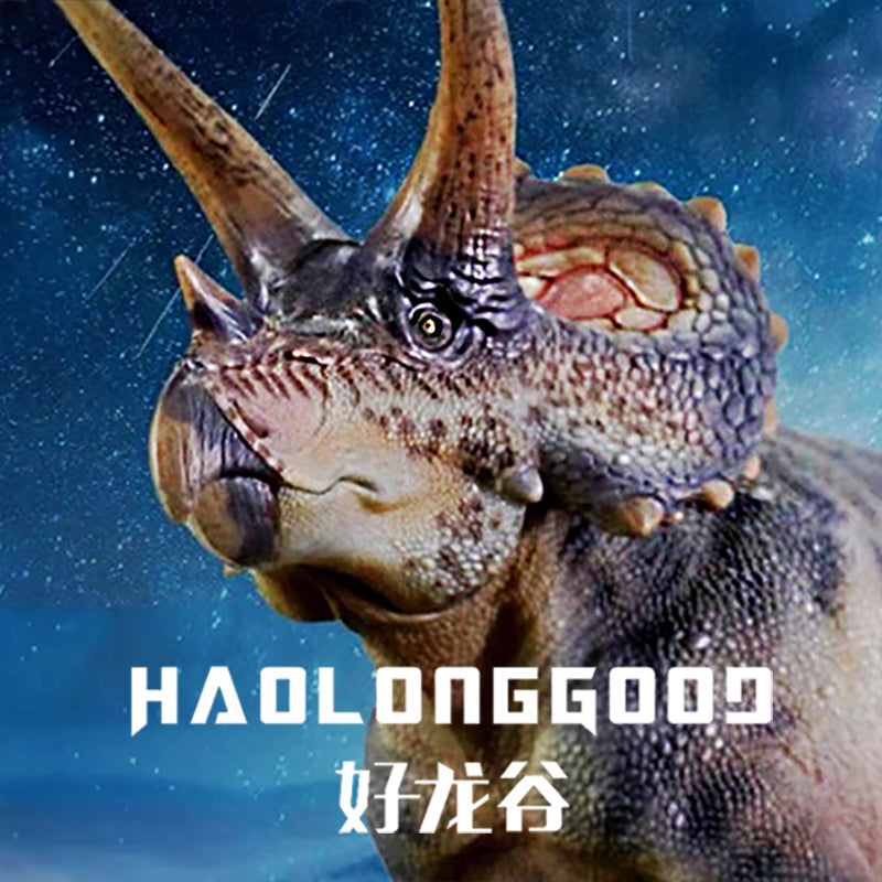 HaoLongGood