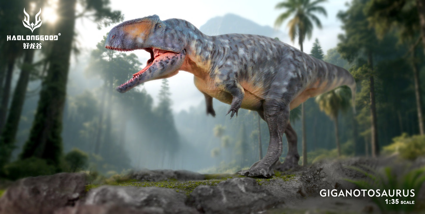 HAOLONGGOOD 1:35 Scale Giganotosaurus Model