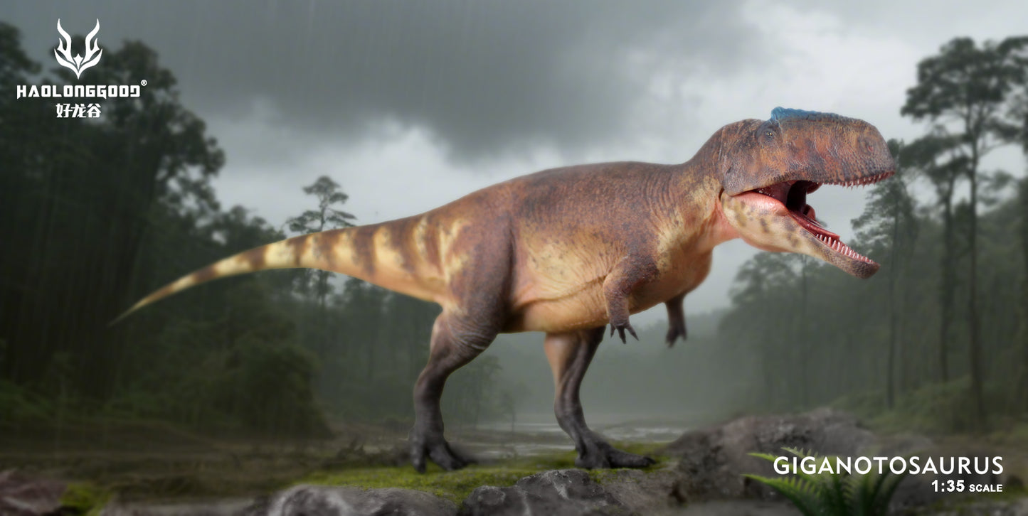 HAOLONGGOOD 1:35 Scale Giganotosaurus Model