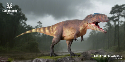 HAOLONGGOOD 1:35 Scale Giganotosaurus Model