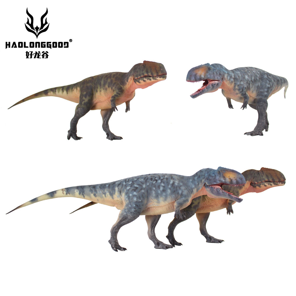 HAOLONGGOOD 1:35 Scale Giganotosaurus Model
