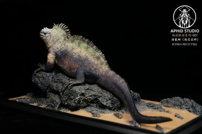 APHID STUDIO Marine iguana Model
