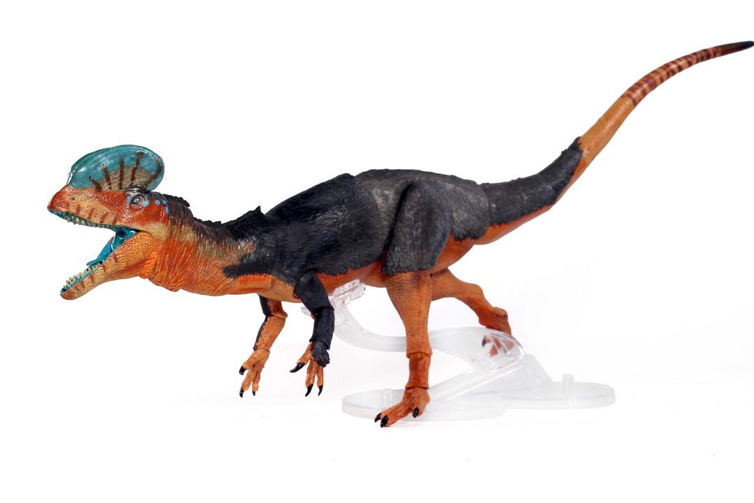 Pre-order!Beasts of the Mesozoic Dilophosaurus wetherilli  1/18th scale action figure