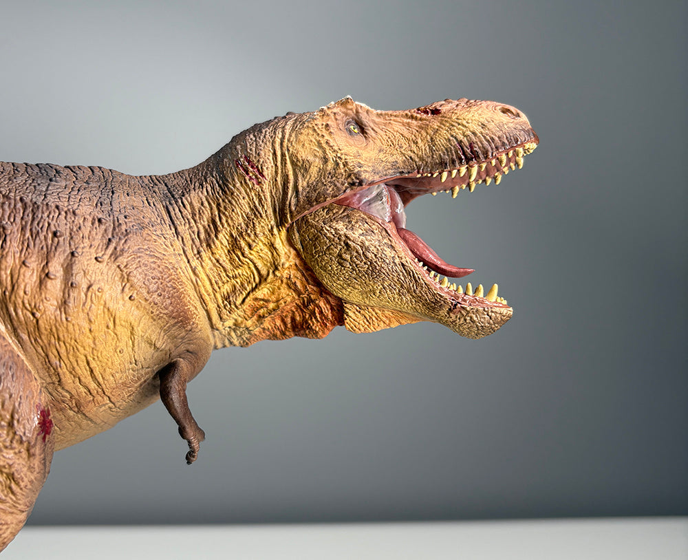 IN STOCK! SHOWANNA Tyrannosaurus Rex Scotty Model