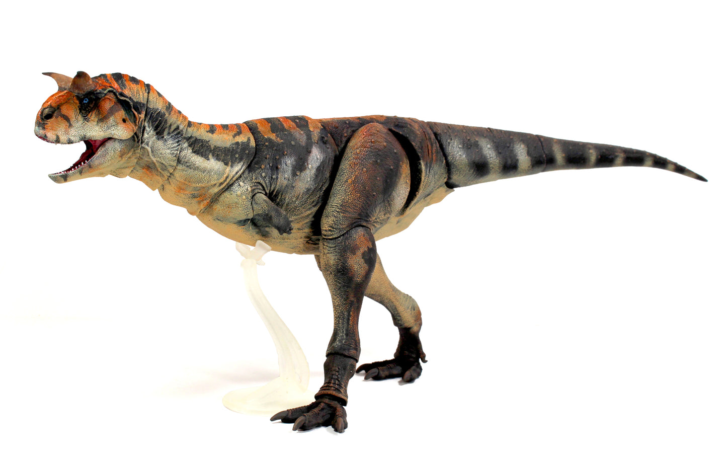 in stock！Beasts of the Mesozoic Carnotaurus sastrei - 1/18th scale