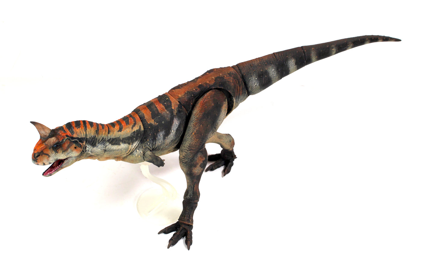 in stock！Beasts of the Mesozoic Carnotaurus sastrei - 1/18th scale