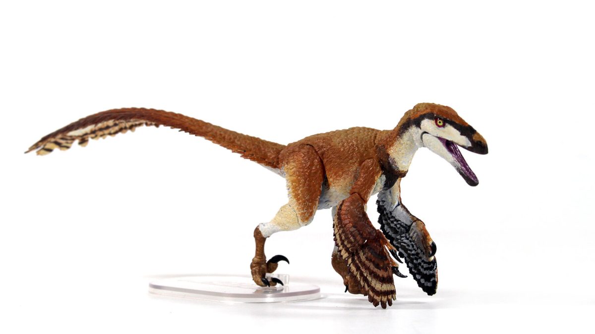 Deinonychus antirrhopus – 1/18th scale action figure