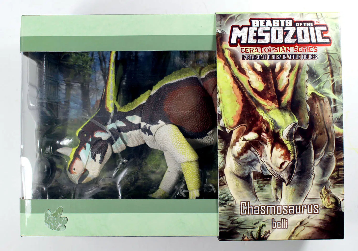 Chasmosaurus belli- 1/18th action figure- reissue