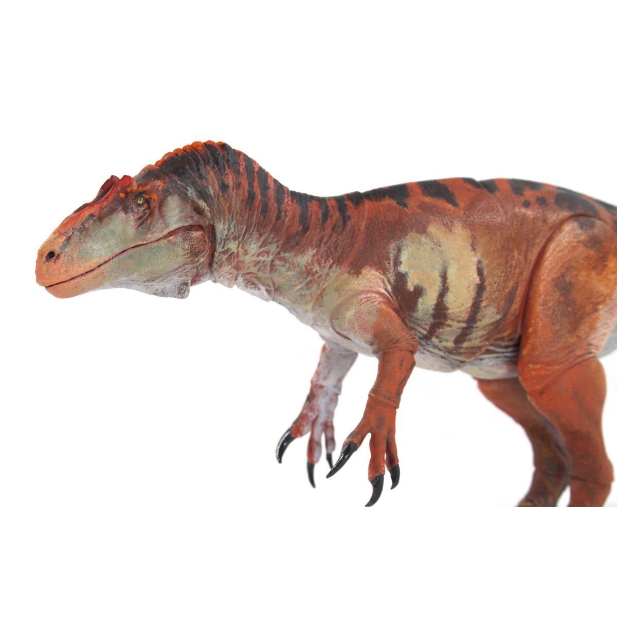 in stock！creative beast Allosaurus jimmadseni – 135th scale action figure