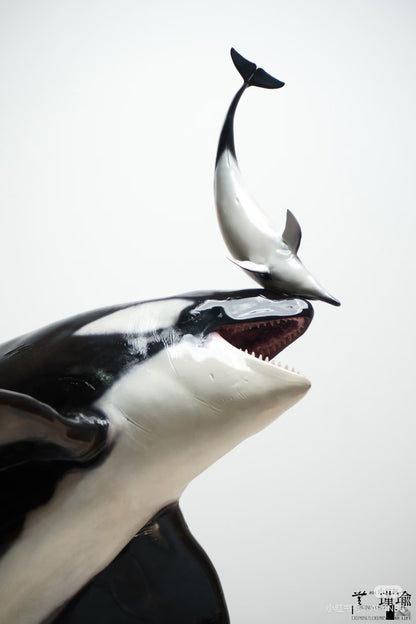 ReLife orca