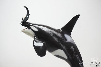 ReLife orca