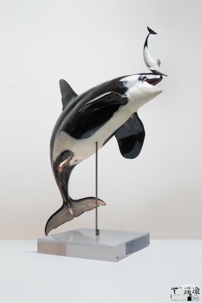 ReLife orca