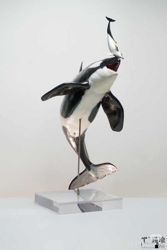 ReLife orca