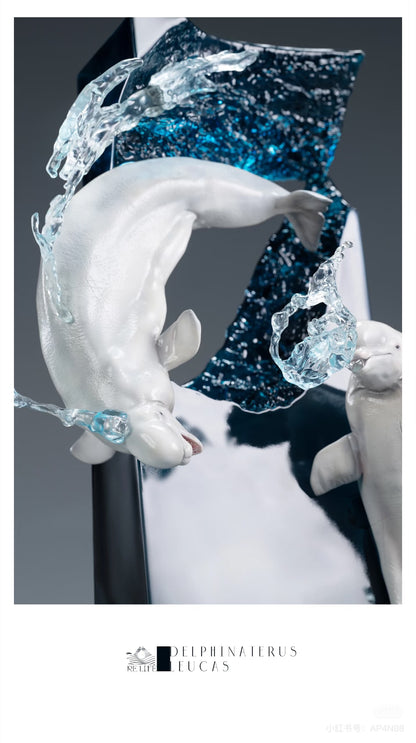 ReLife Beluga Whale