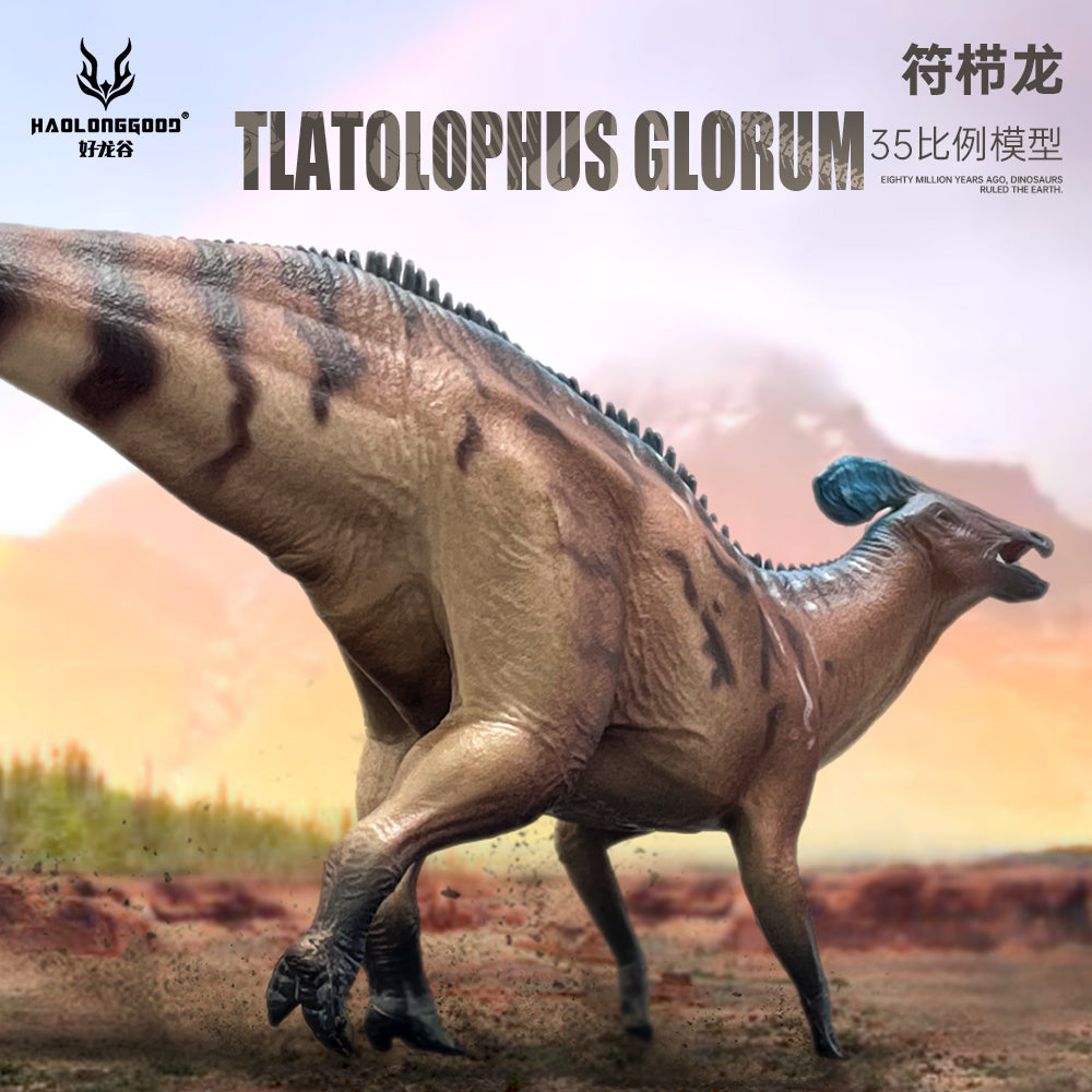 HAOLONGGOOD 1:35 Scale Tlatolophus galorum Model