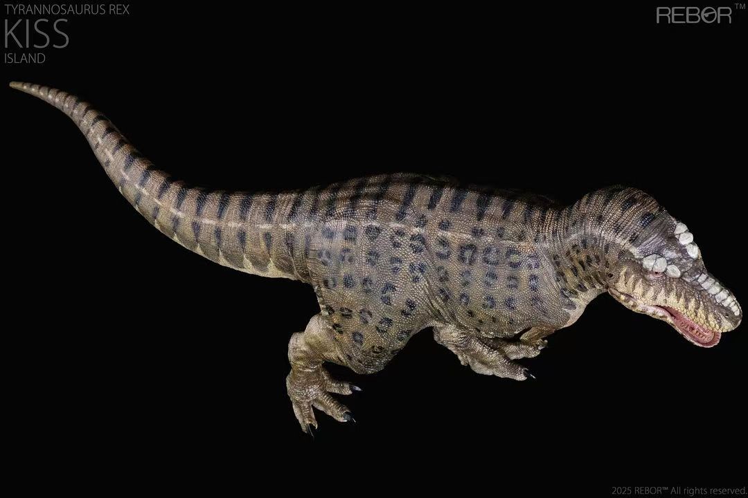 REBOR 1:35 Tyrannosaurus rex “KISS” Island Ver.