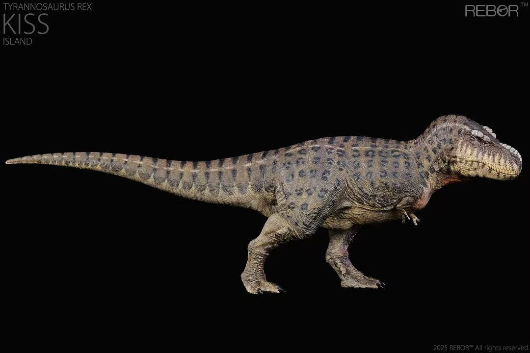 REBOR 1:35 Tyrannosaurus rex “KISS” Island Ver.