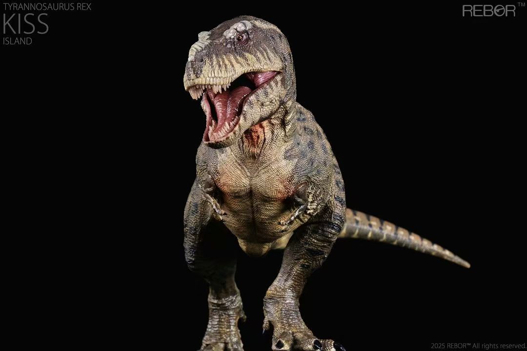 REBOR 1:35 Tyrannosaurus rex “KISS” Island Ver.