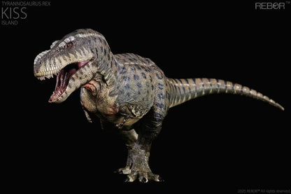 REBOR 1:35 Tyrannosaurus rex “KISS” Island Ver.