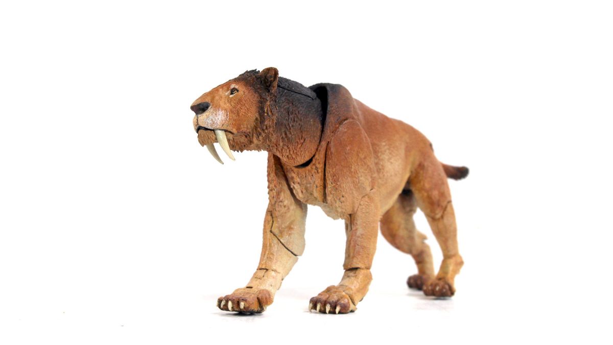 in stock！creative beast Smilodon populator- 1 18th scale action figure