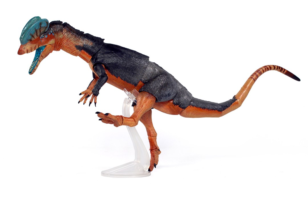 Pre-order!Beasts of the Mesozoic Dilophosaurus wetherilli  1/18th scale action figure
