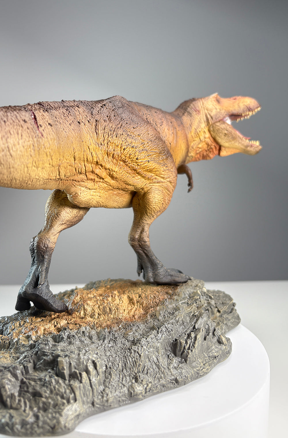 IN STOCK! SHOWANNA Tyrannosaurus Rex Scotty Model