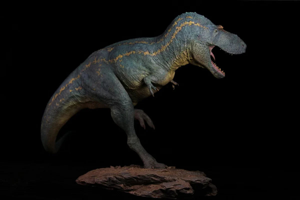 SHOWANNA 1/15 Scale Albertosaurus  Model