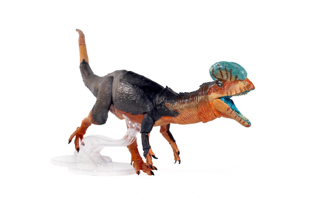 Pre-order!Beasts of the Mesozoic Dilophosaurus wetherilli  1/18th scale action figure
