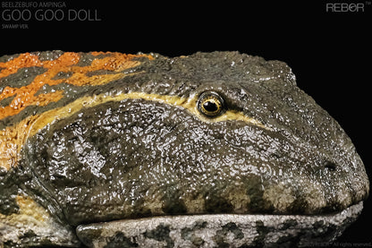 REBOR 1:2 scale poseable Beelzebufo ampinga “Goo Goo Doll” Swamp Ver.