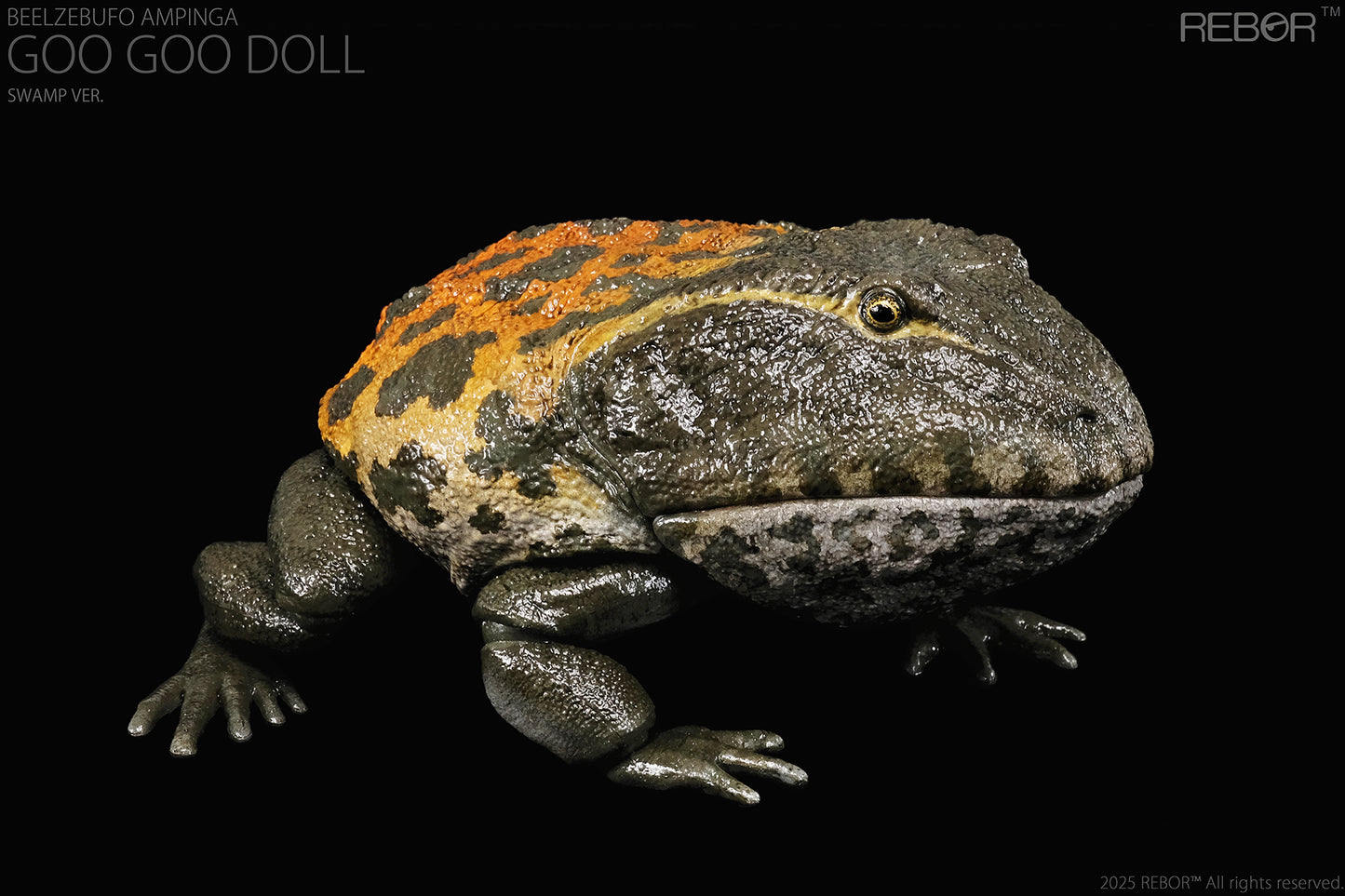 REBOR 1:2 scale poseable Beelzebufo ampinga “Goo Goo Doll” Swamp Ver.
