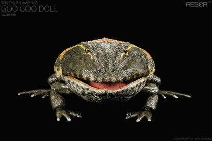 REBOR 1:2 scale poseable Beelzebufo ampinga “Goo Goo Doll” Swamp Ver.