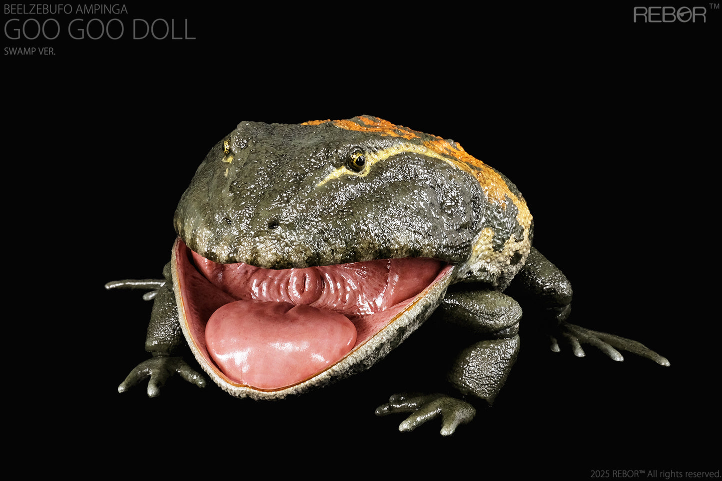 REBOR 1:2 scale poseable Beelzebufo ampinga “Goo Goo Doll” Swamp Ver.