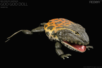 REBOR 1:2 scale poseable Beelzebufo ampinga “Goo Goo Doll” Swamp Ver.